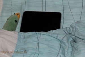 Nexus im Bett