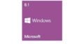 Windows 8.1 Update