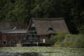 f/5,6, 190mm, 1/1.000s, ISO 400