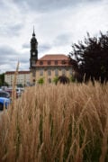 Test Tiefenschärfe bei großer Blende