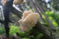 f/5.6 - 1/250s - ISO 320 - 47mm