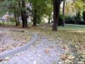 Beispielbild 2