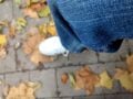 Beispielbild 3