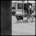 f/10, 1/500, ISO 200. Lumix G Vario 35-100, 55mm.