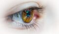 Funktioniert durch Licht-Reflektion der Augen 