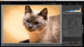Bearbeitung von Fotos In Lightroom Classic CC