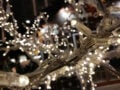 Geht man nah genug ran, reicht die Blende f1.8 für echtes Bokeh. 