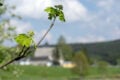 Schöne Unschärfe sorgt für Spannung