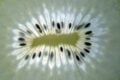 Kiwis im Kunstlicht