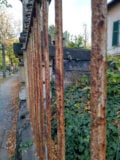 Viele Deatils im Automatikmodus