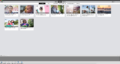 Der Organizer stellt Bilder übersichtlich dar.