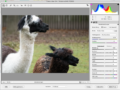 RAW Bilder müssen entwickelt werden.