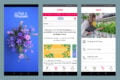 Die Bereiche der App