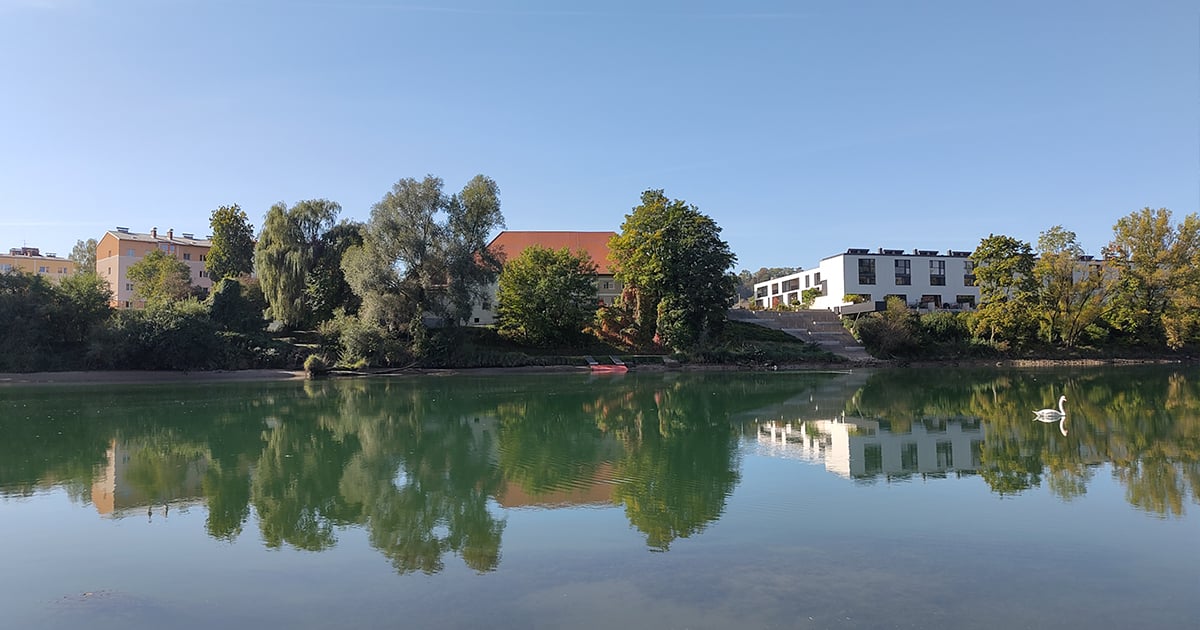 Die Enns in Steyr, auf der ein Schwan schwimmt, aufgenommen mit dem Fairphone 5